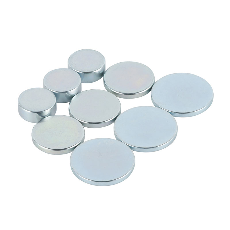 Magnete dell'altoparlante