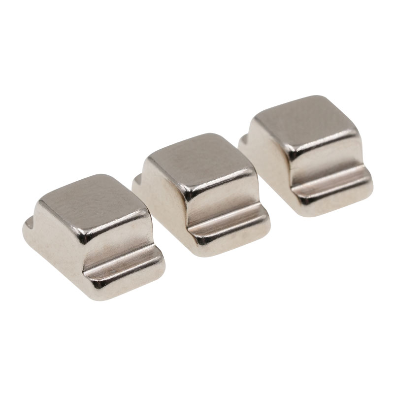Magnete permanente di forma personalizzata