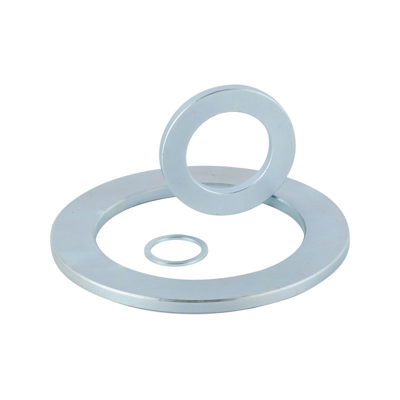 Magnete dell'altoparlante