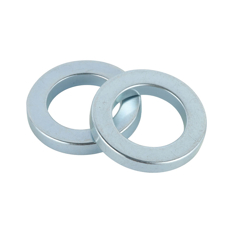 Magnete dell'altoparlante