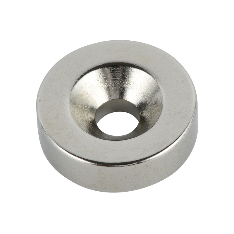 Magnete dell'altoparlante